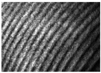 Machines 11 00668 i002