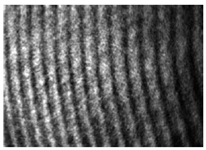 Machines 11 00668 i003