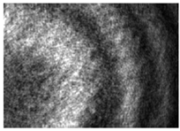 Machines 11 00668 i004