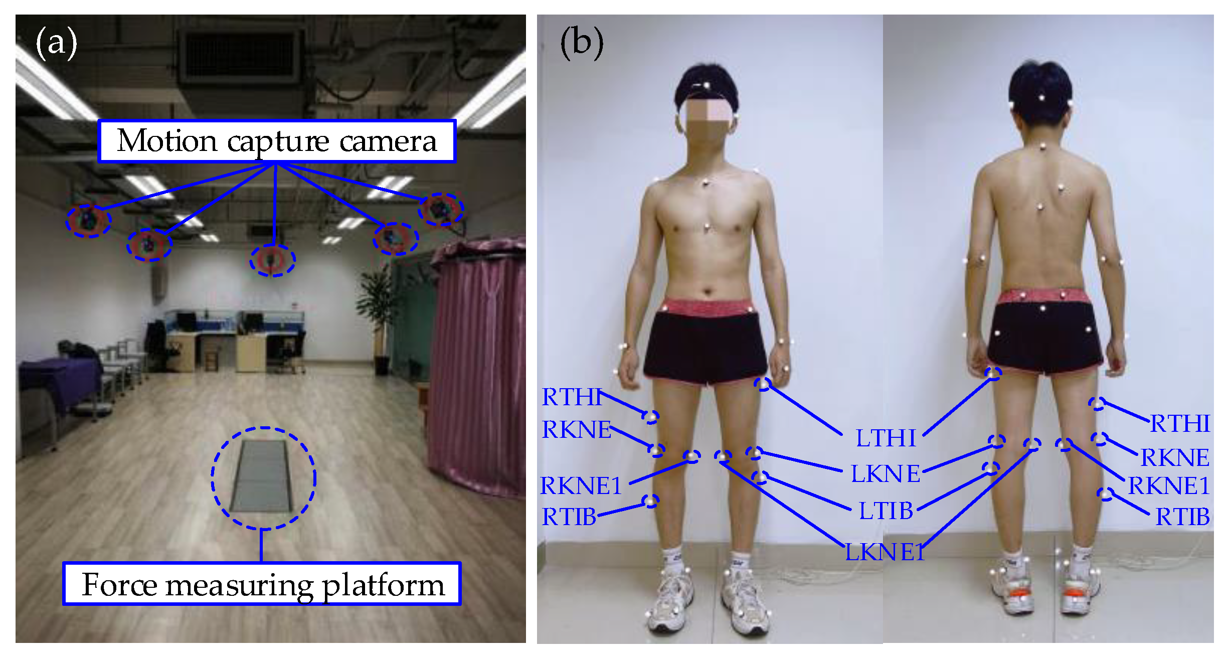 Machines 11 00709 g002
