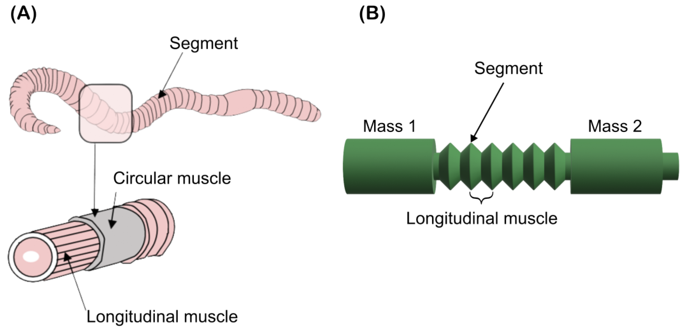 Machines 11 00779 g001