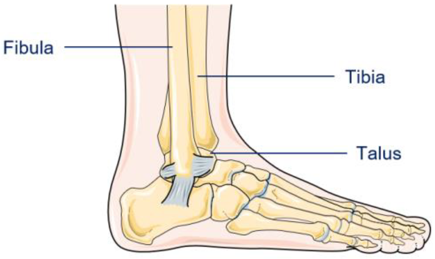 Machines 11 00787 g001 Machines 11 00787 g001