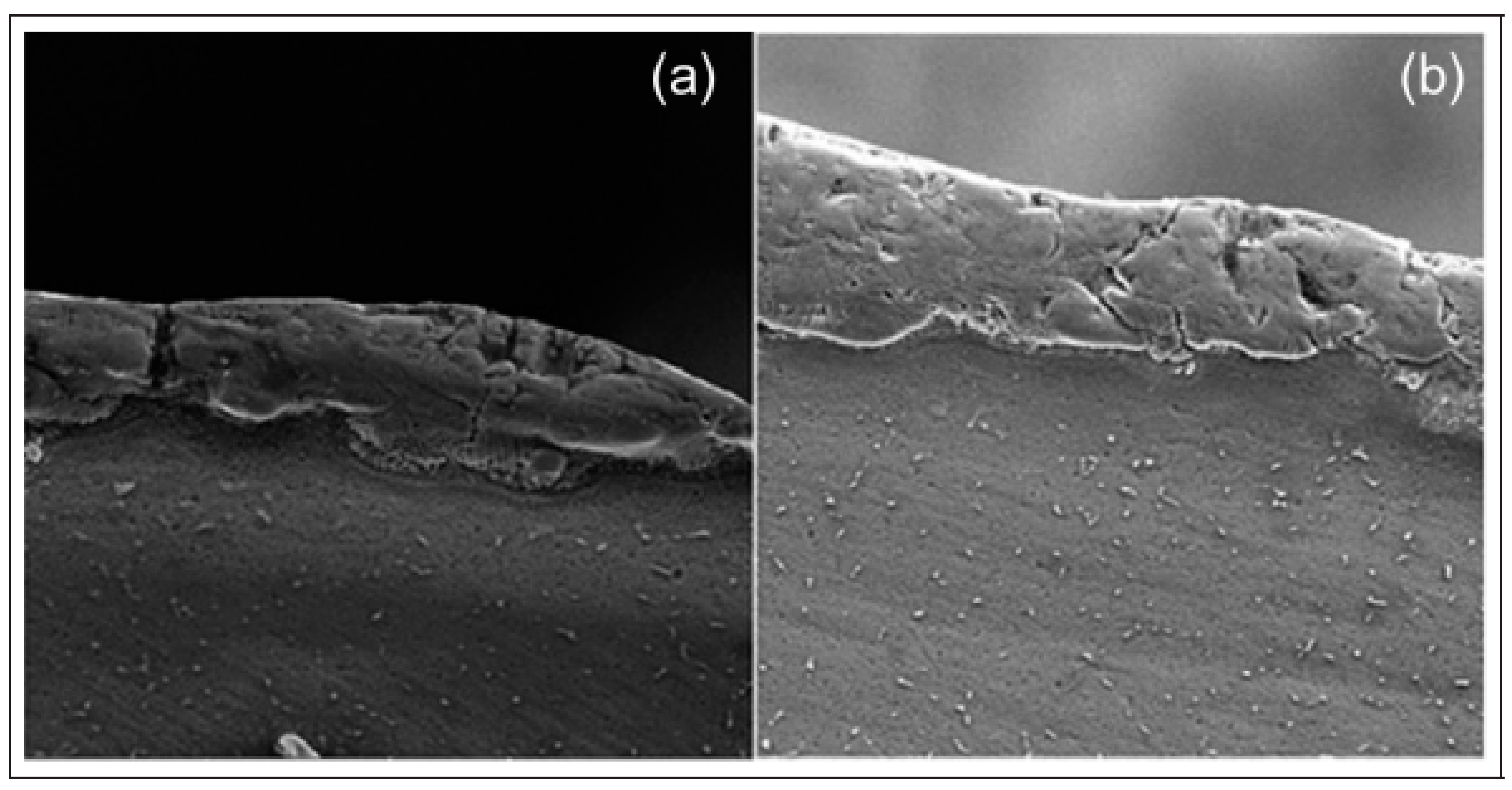 Machines 11 00906 g011
