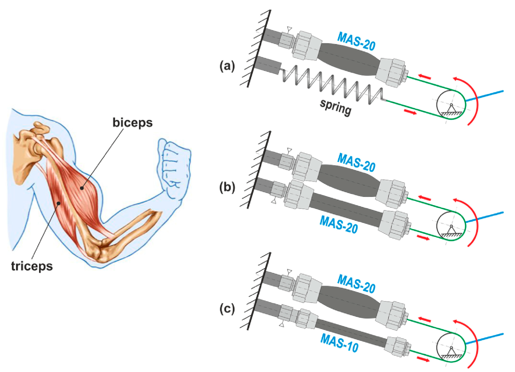 Machines 11 00936 g003