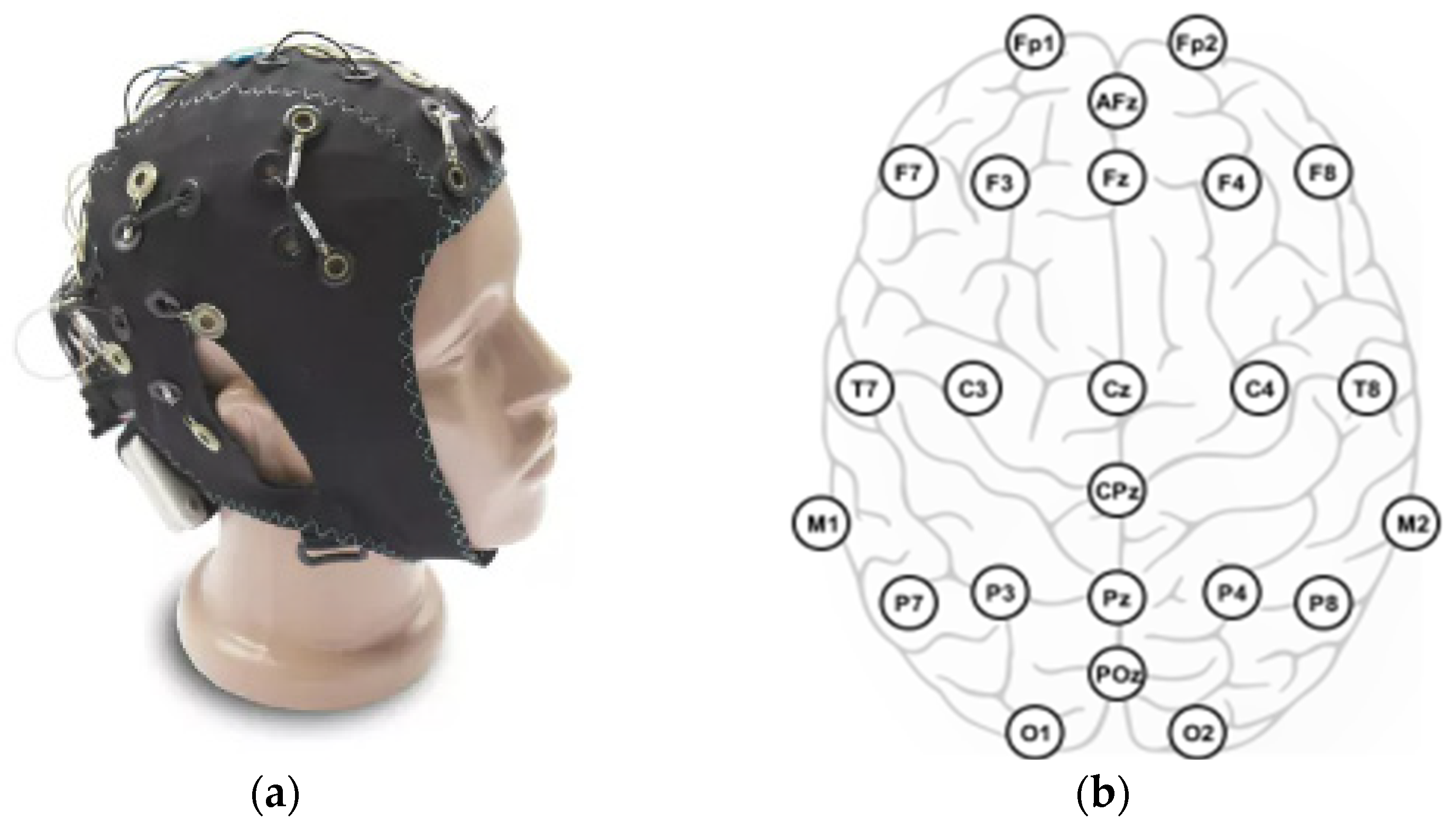 Machines 11 00995 g005