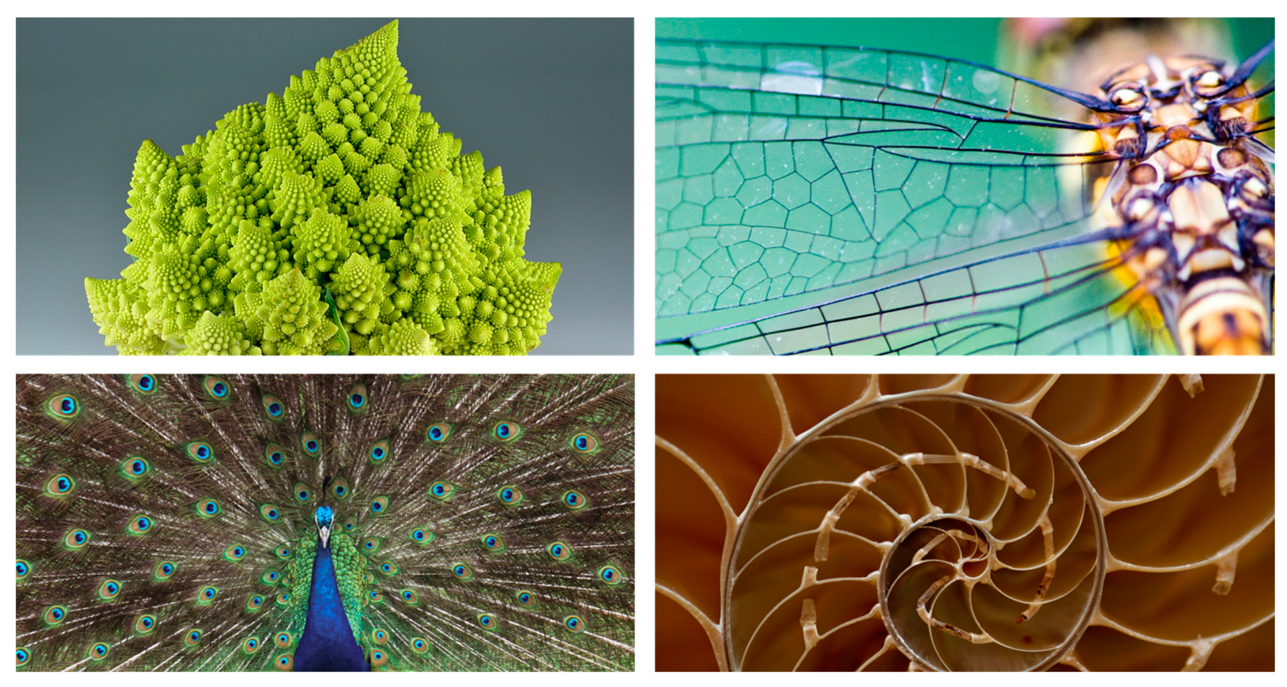 Machines 11 01067 g001