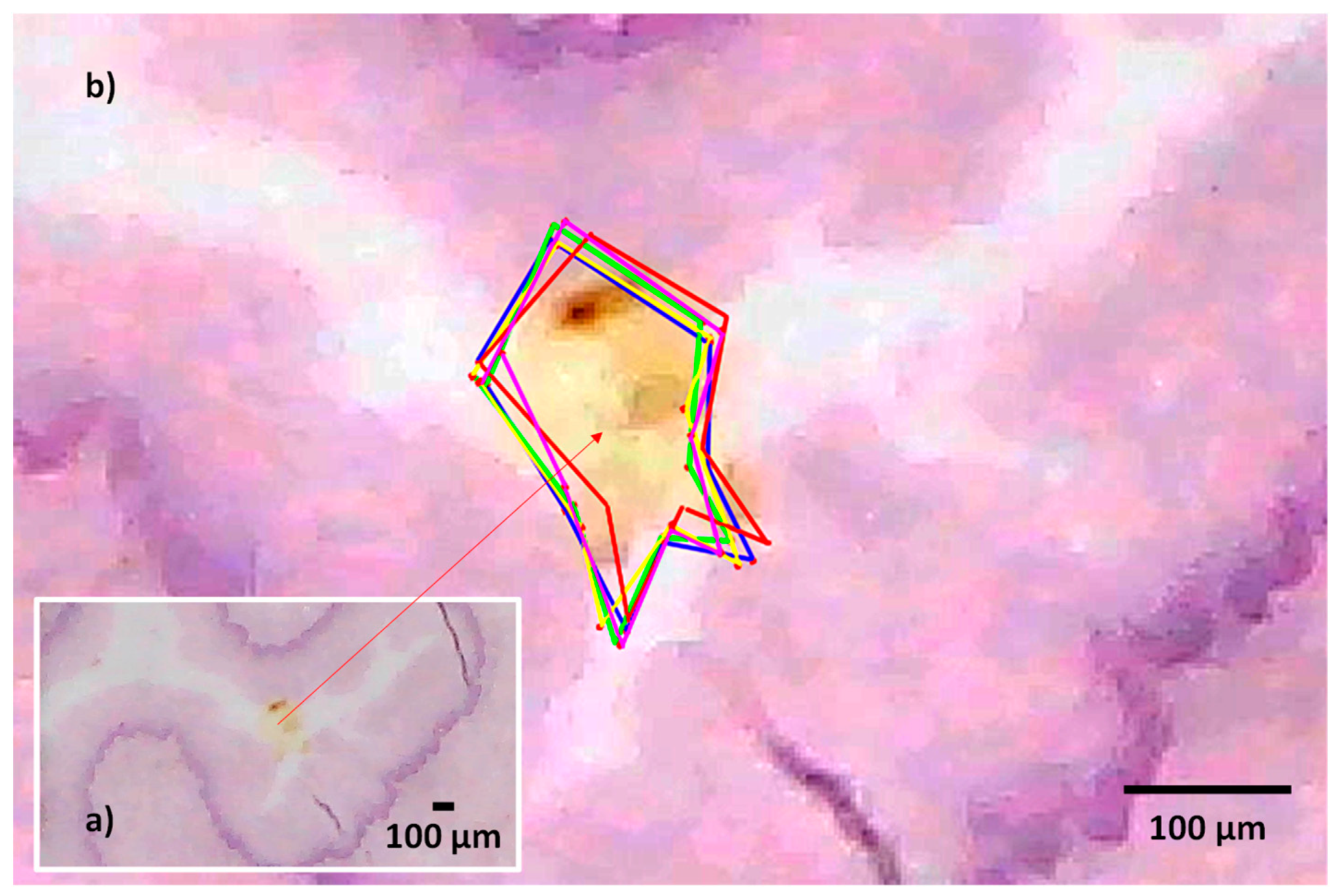 Machines 11 01072 g007