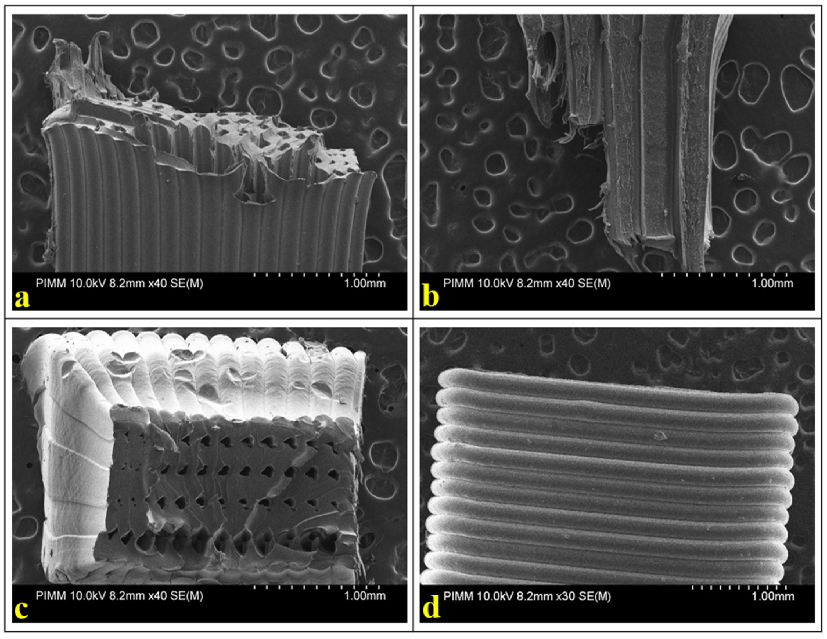 Machines 11 01086 g005