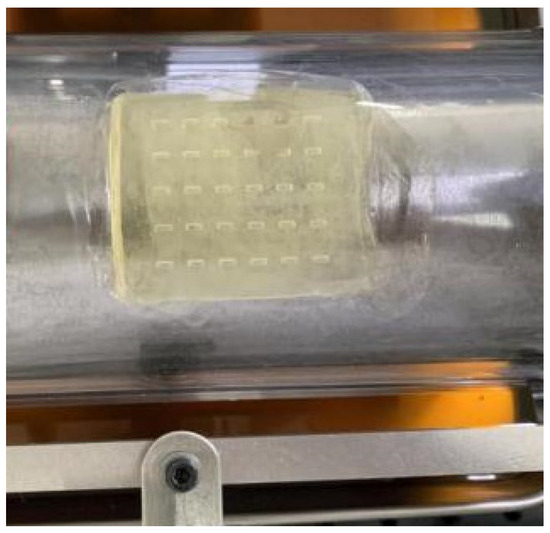 A Study on the Cavitation Effect of Elastic Material with Textured ...