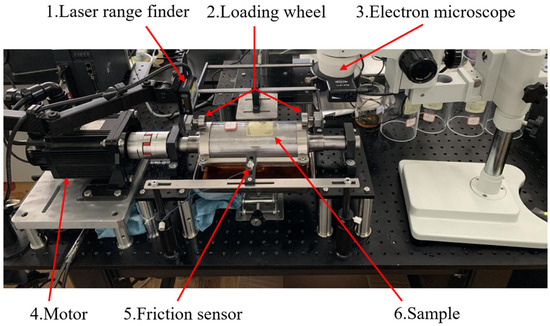 A Study on the Cavitation Effect of Elastic Material with Textured ...