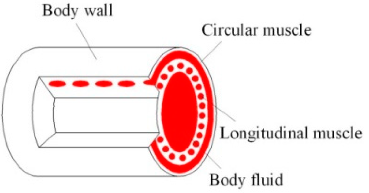 Machines 12 00393 g002