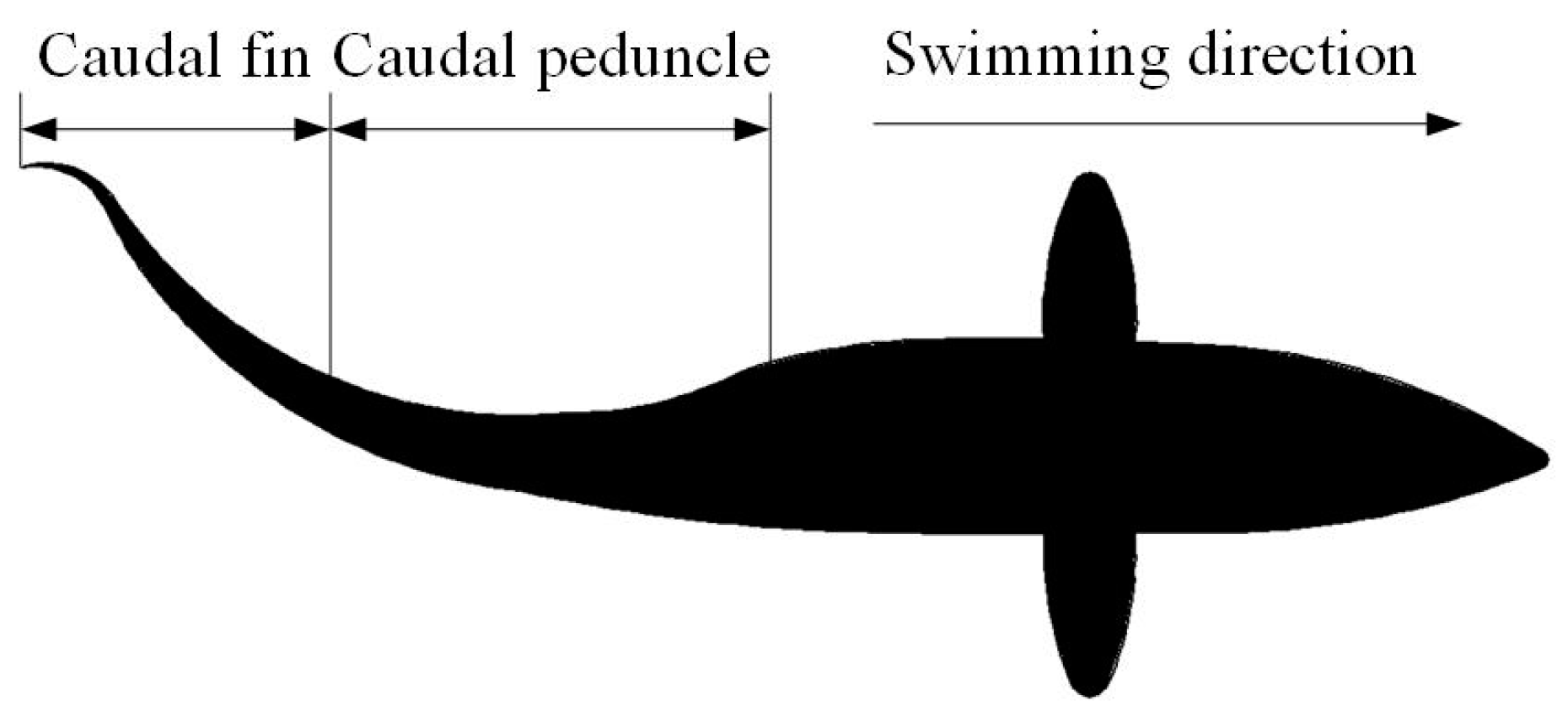 Machines 12 00393 g006