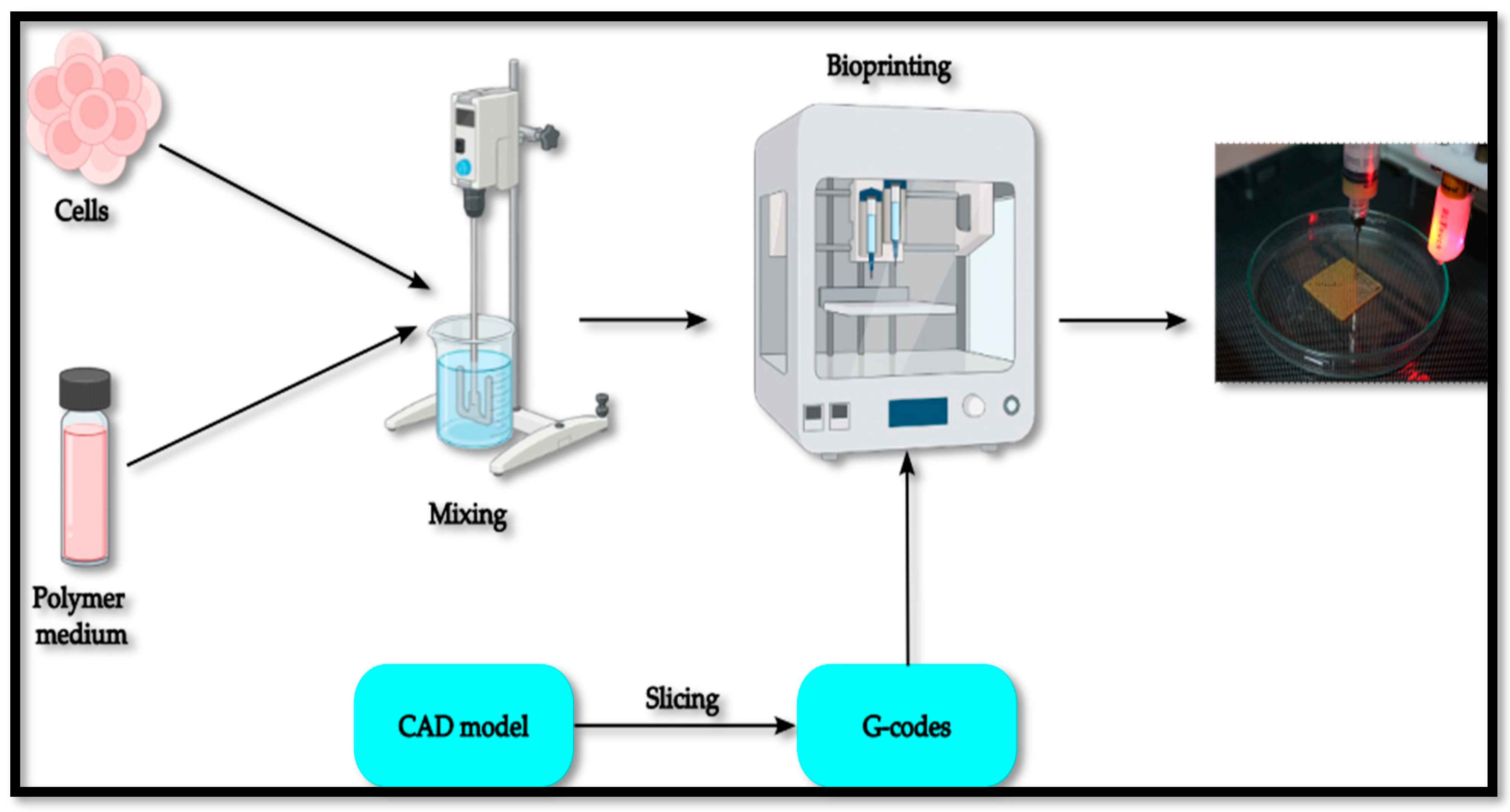 Machines 12 00518 g001