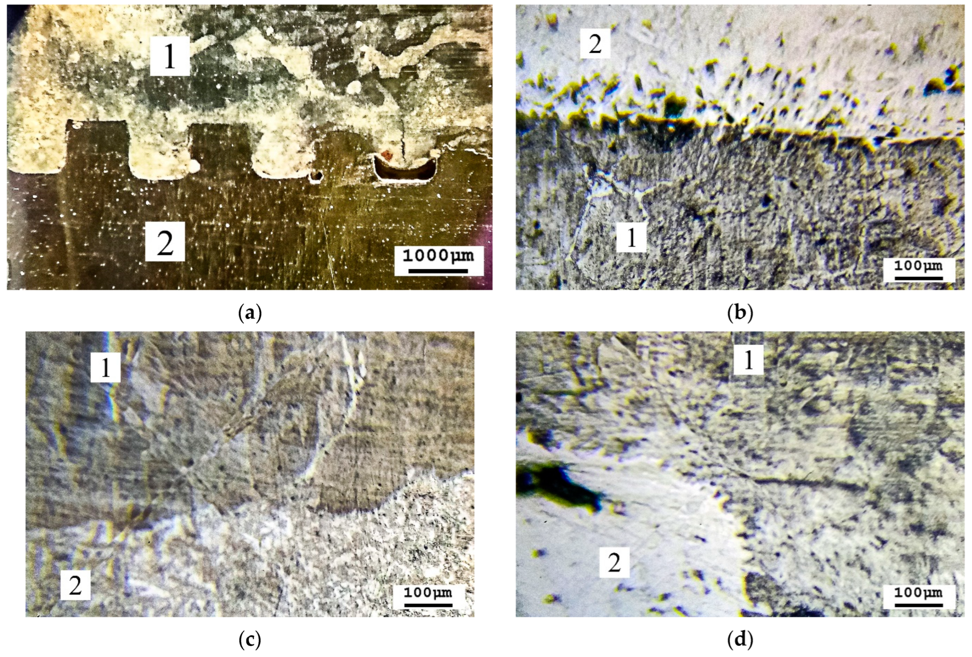 Machines 12 00522 g005