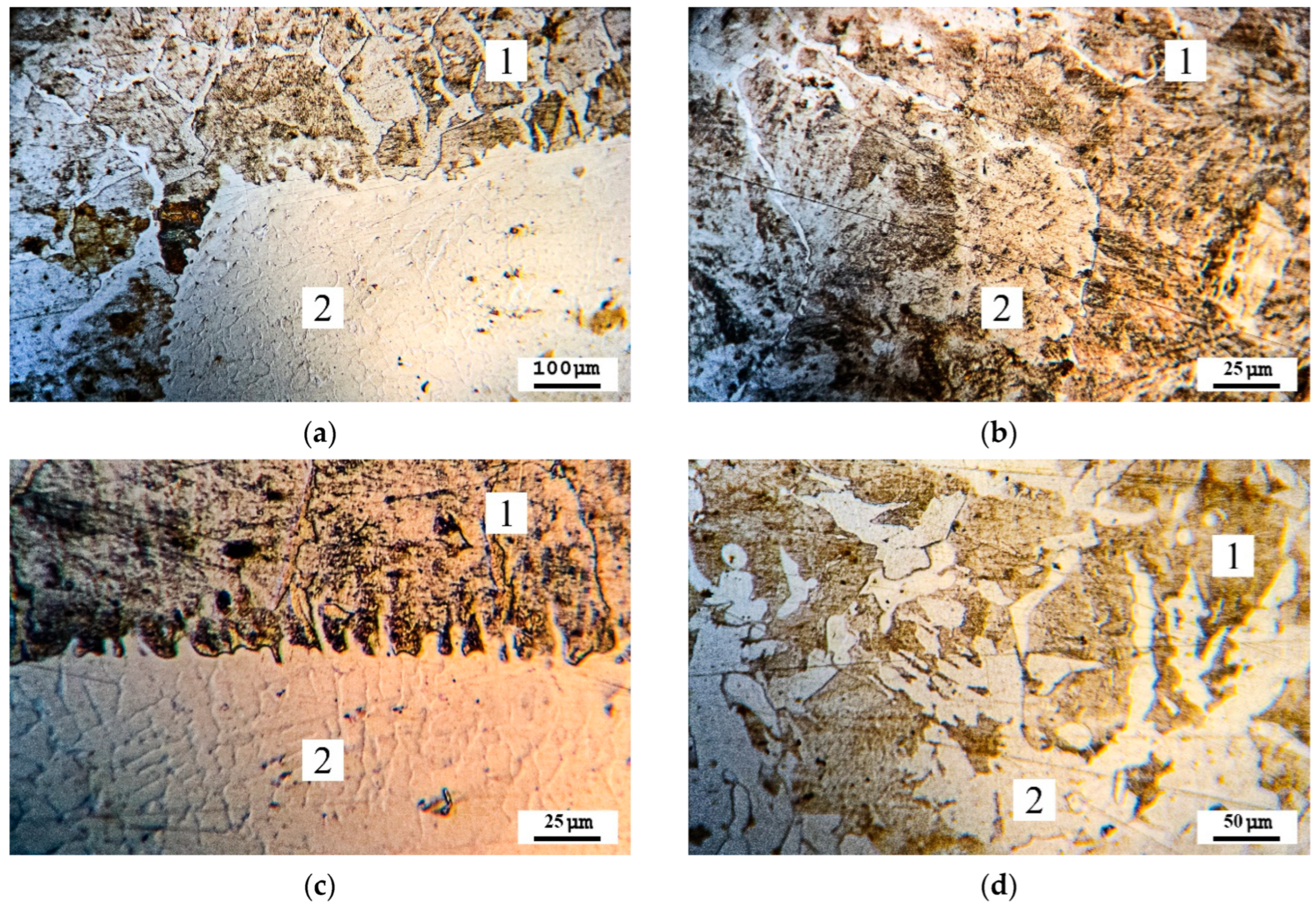 Machines 12 00522 g006