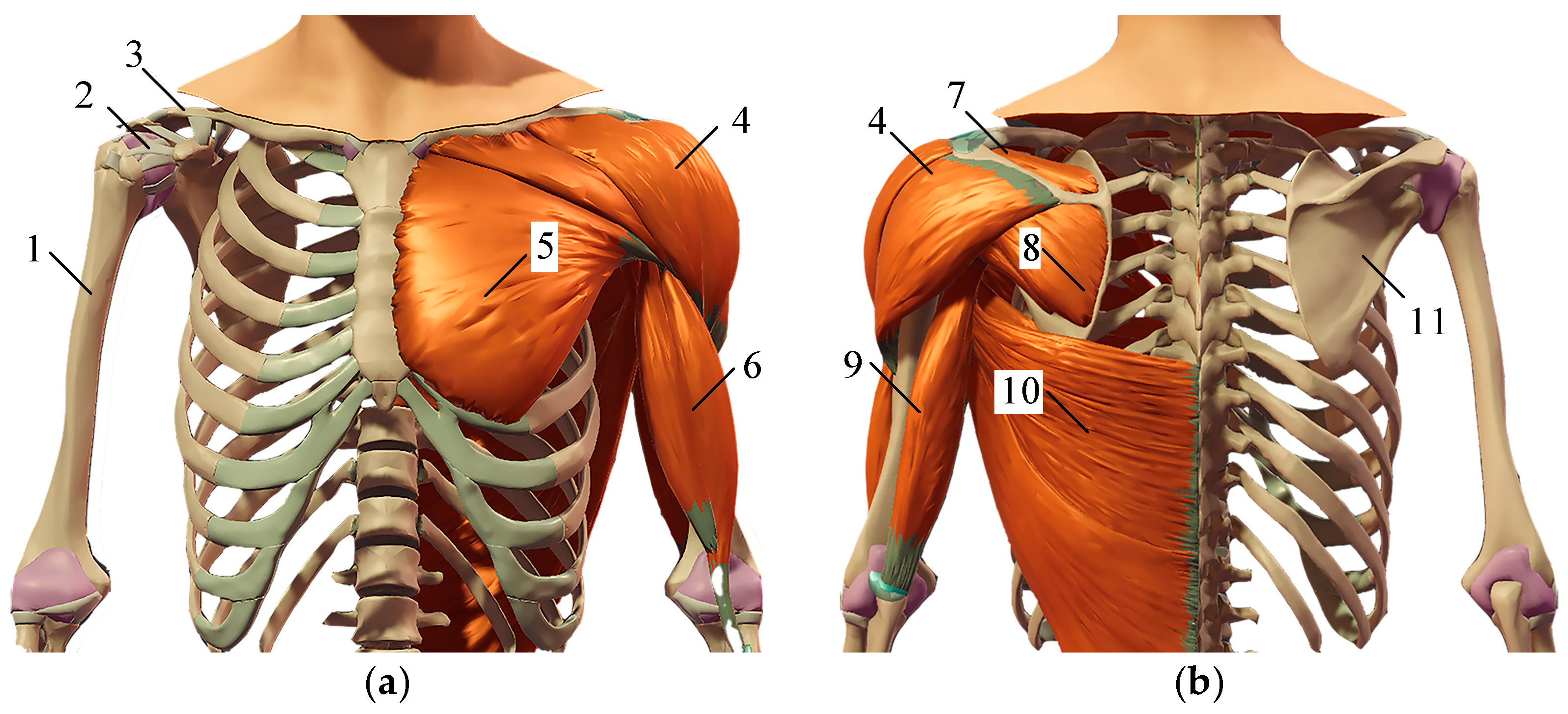 Machines 12 00683 g001