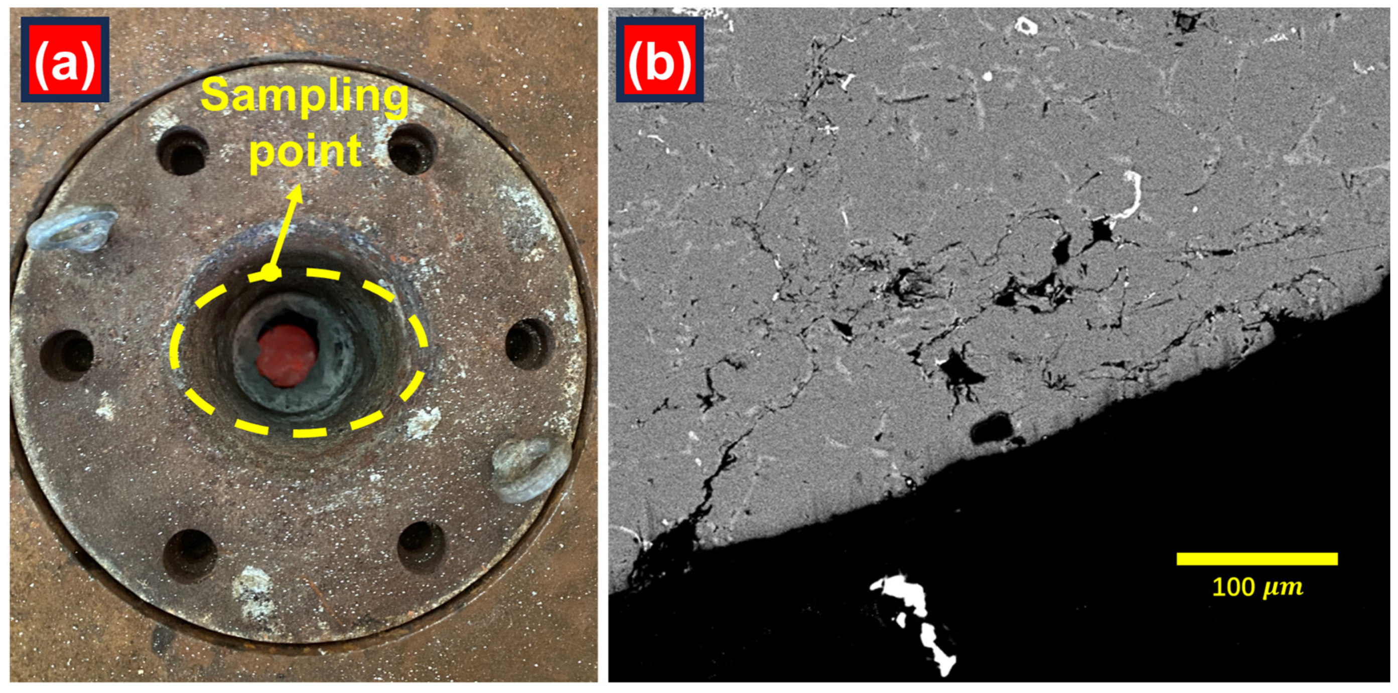 Machines 12 00702 g012