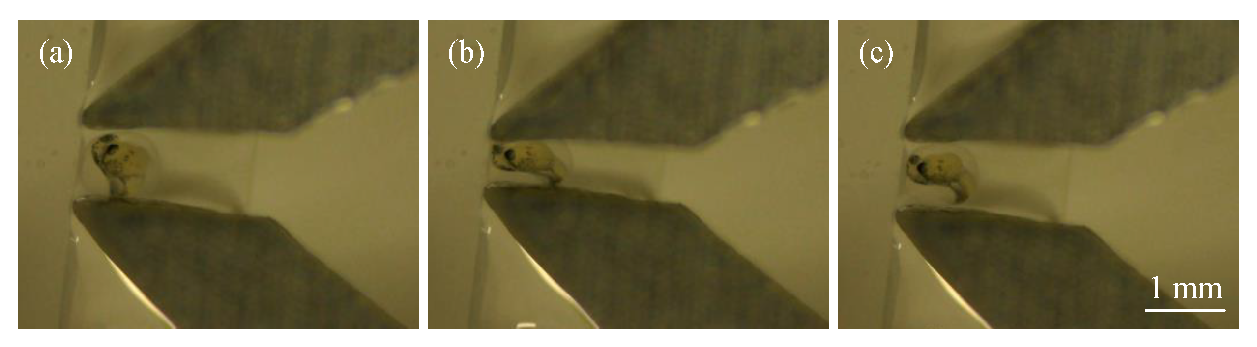 Machines 12 00722 g013