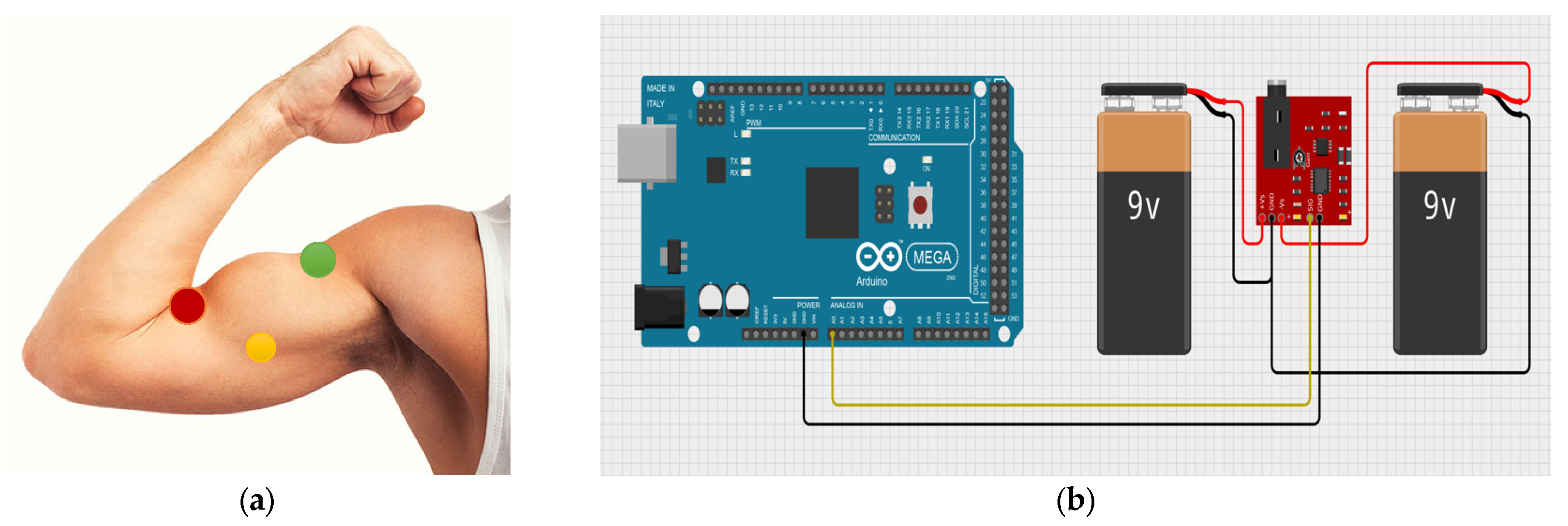 Machines 12 00808 g007