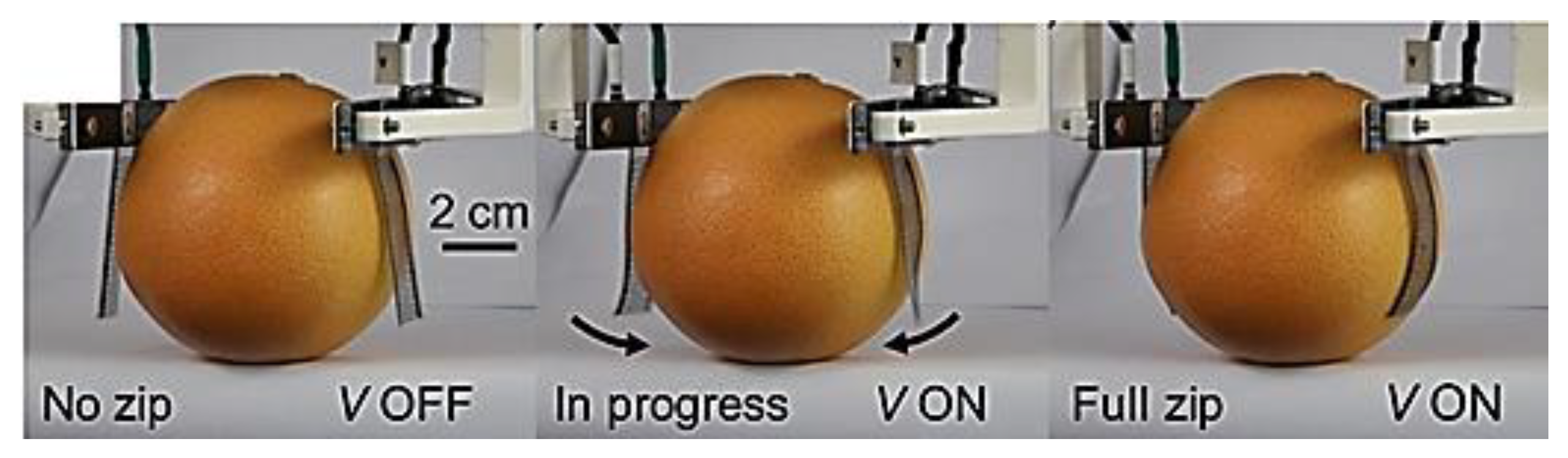 Machines 12 00887 g015