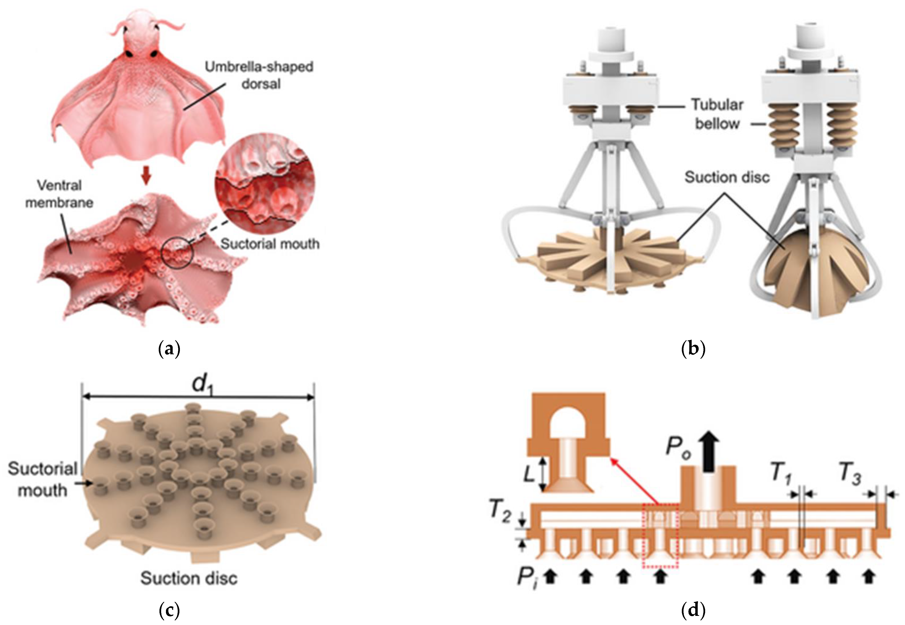 Machines 12 00887 g019