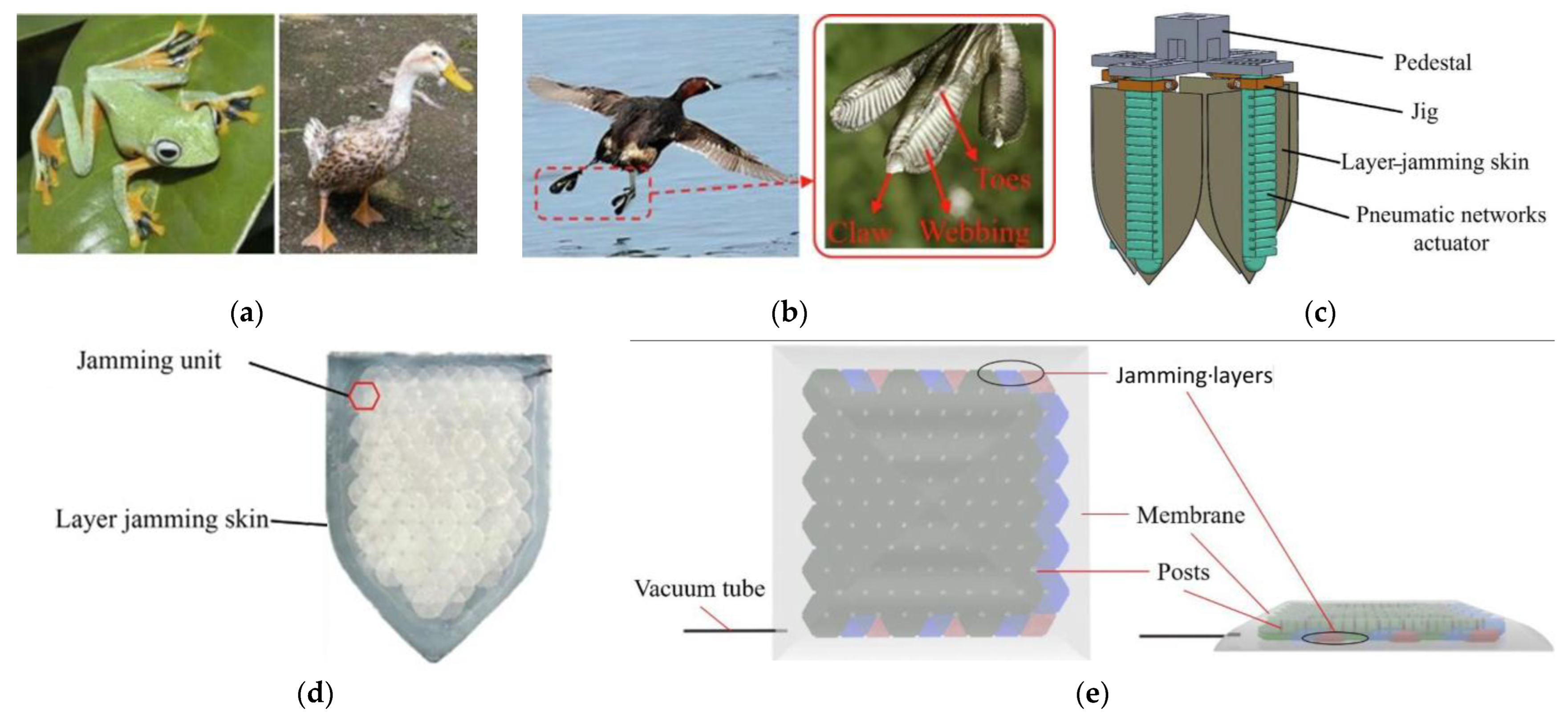 Machines 12 00887 g020