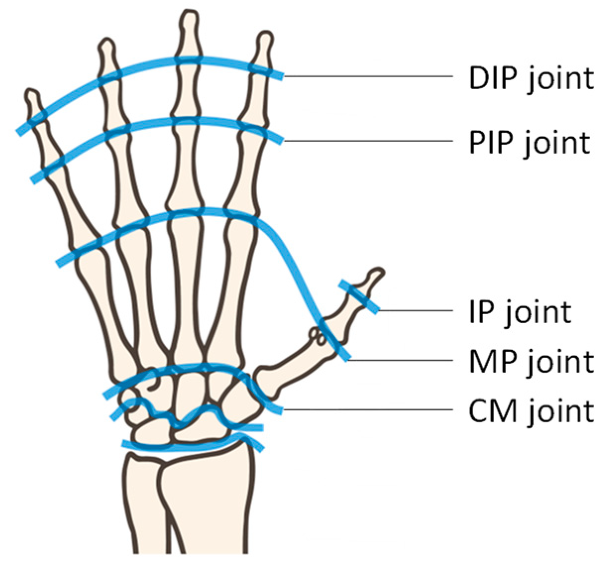 Machines 12 00920 g001