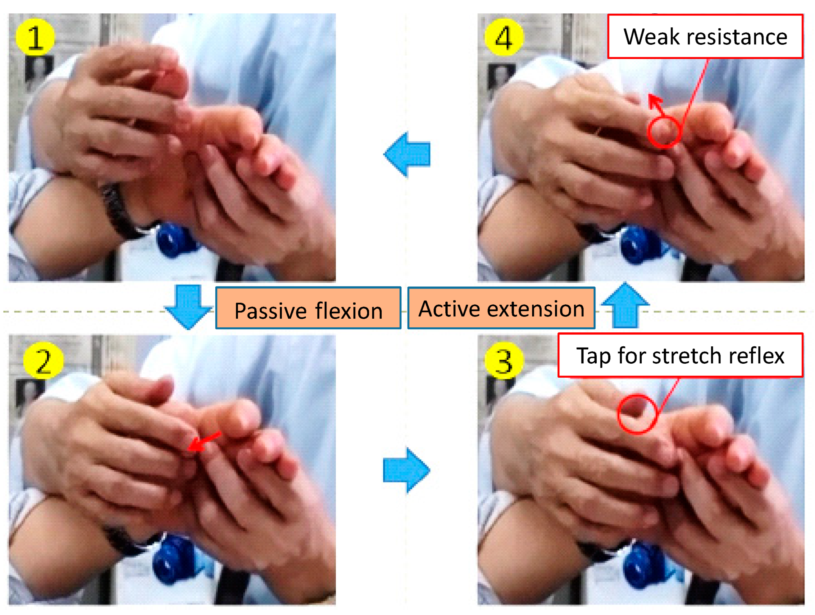 Machines 12 00920 g003
