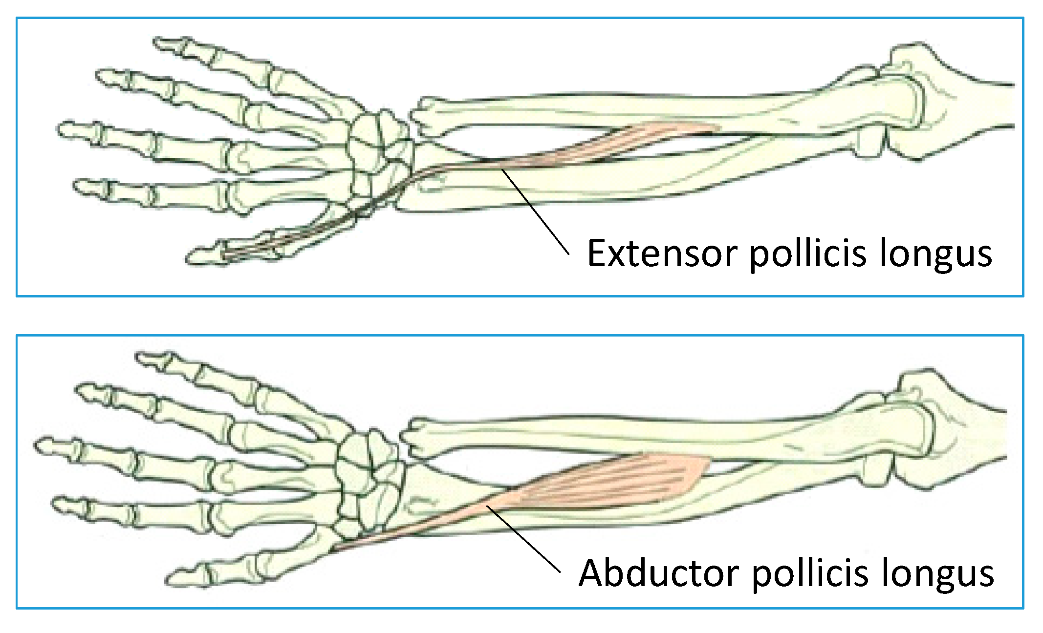 Machines 12 00920 g012