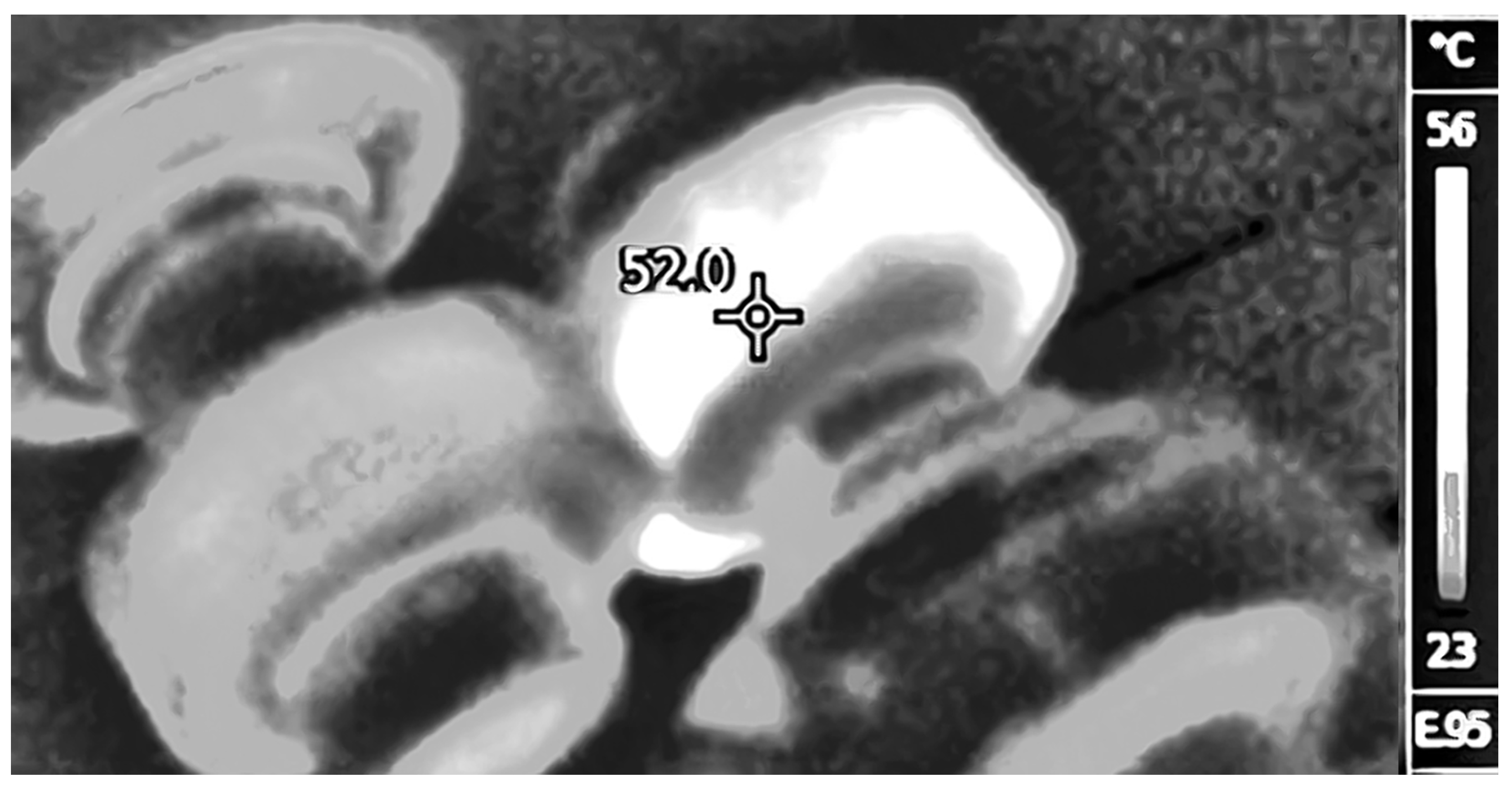 Machines 13 00005 g013