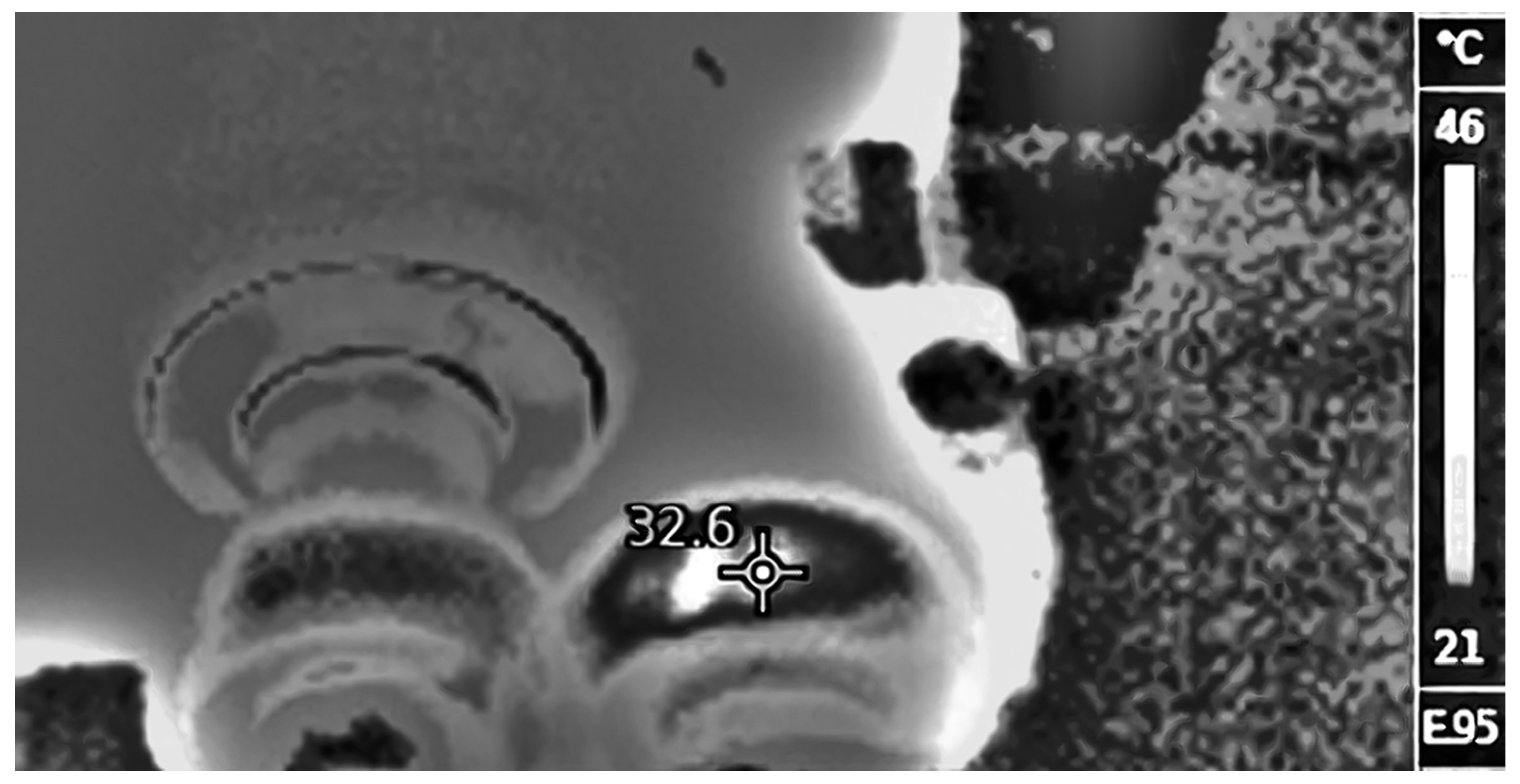 Machines 13 00005 g017