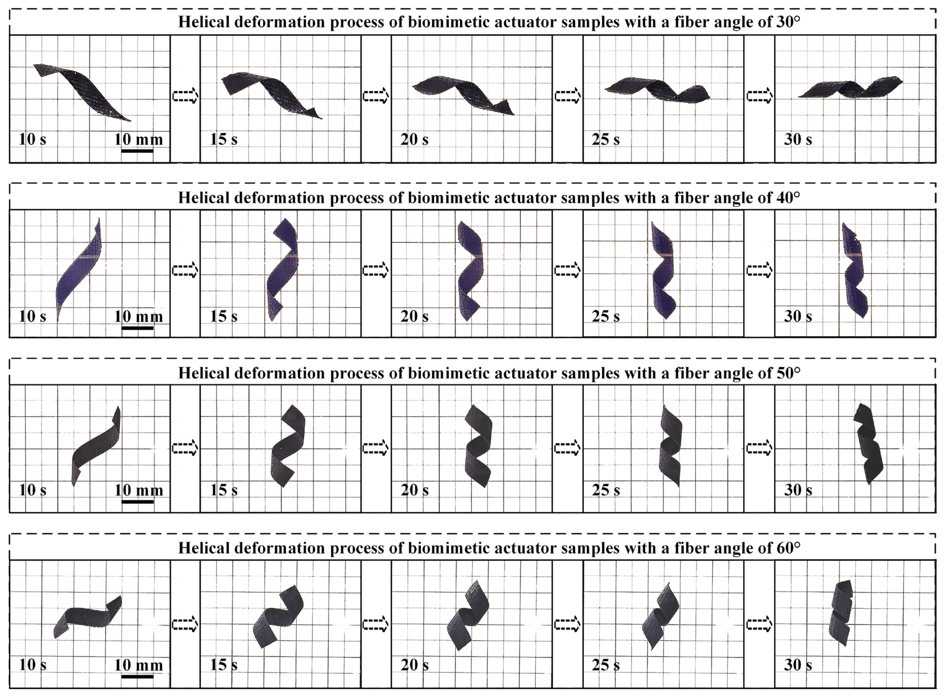 Machines 13 00031 g005