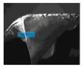 Machines 13 00117 i013