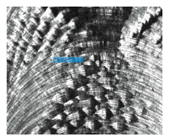 Machines 13 00117 i026