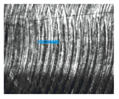 Machines 13 00117 i032