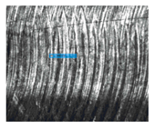 Machines 13 00117 i034