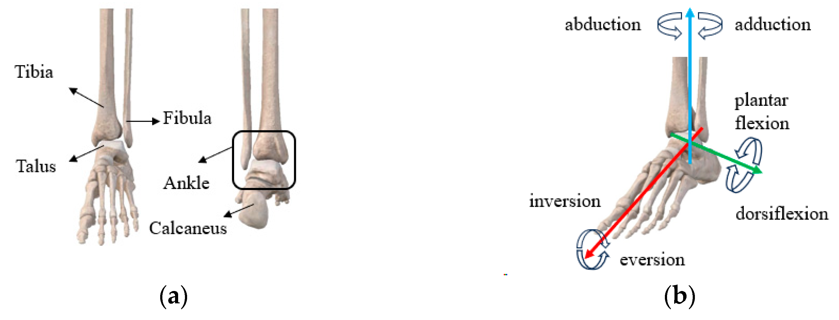 Machines 13 00145 g002
