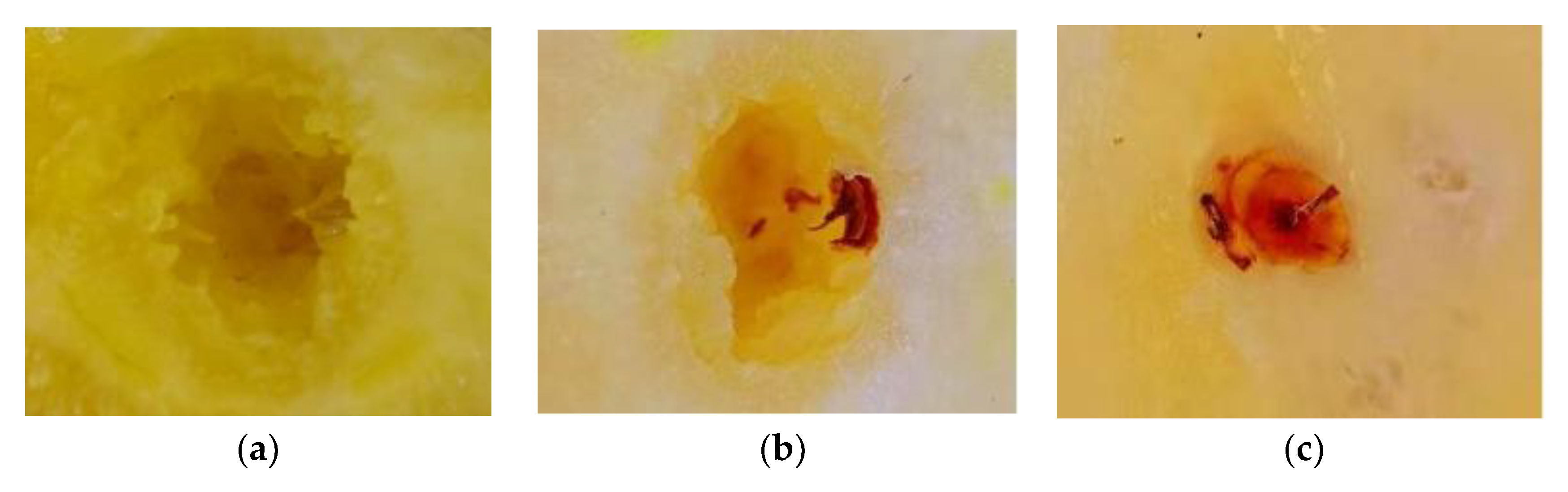 Machines 13 00479 g011