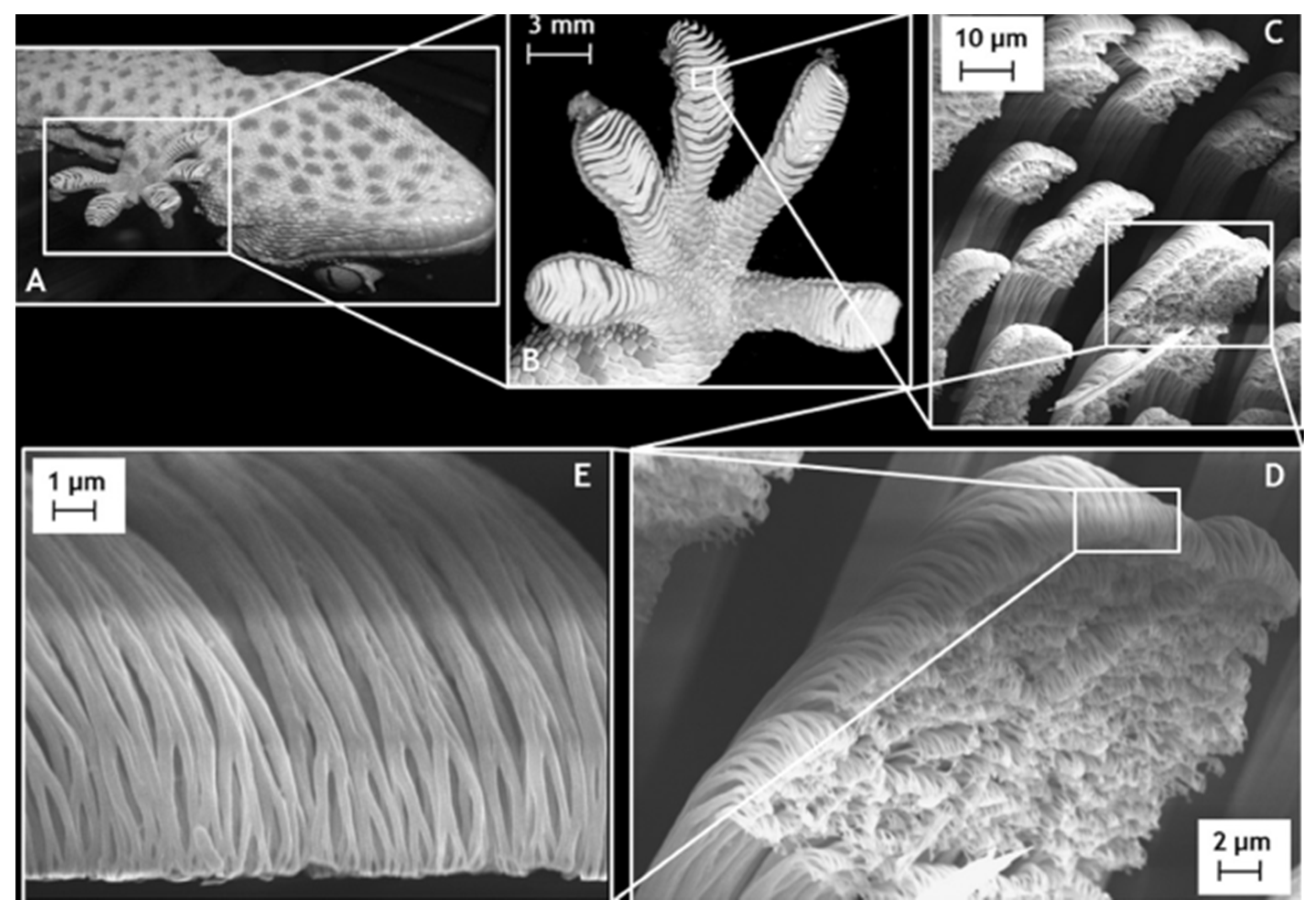 Machines 13 00521 g014