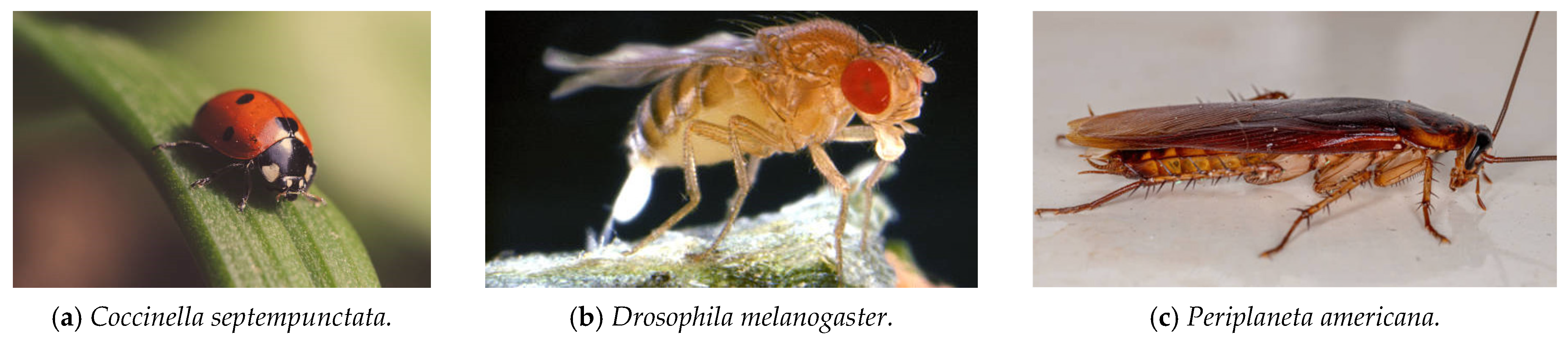 Machines 13 00521 g015