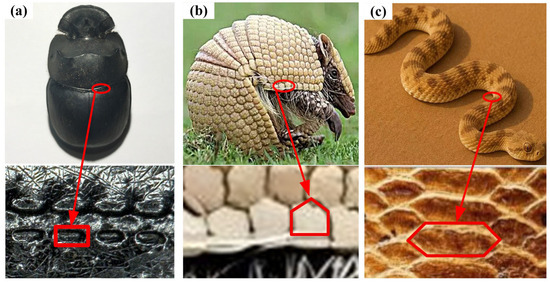 Study on Friction and Wear Performance of Bionic Function