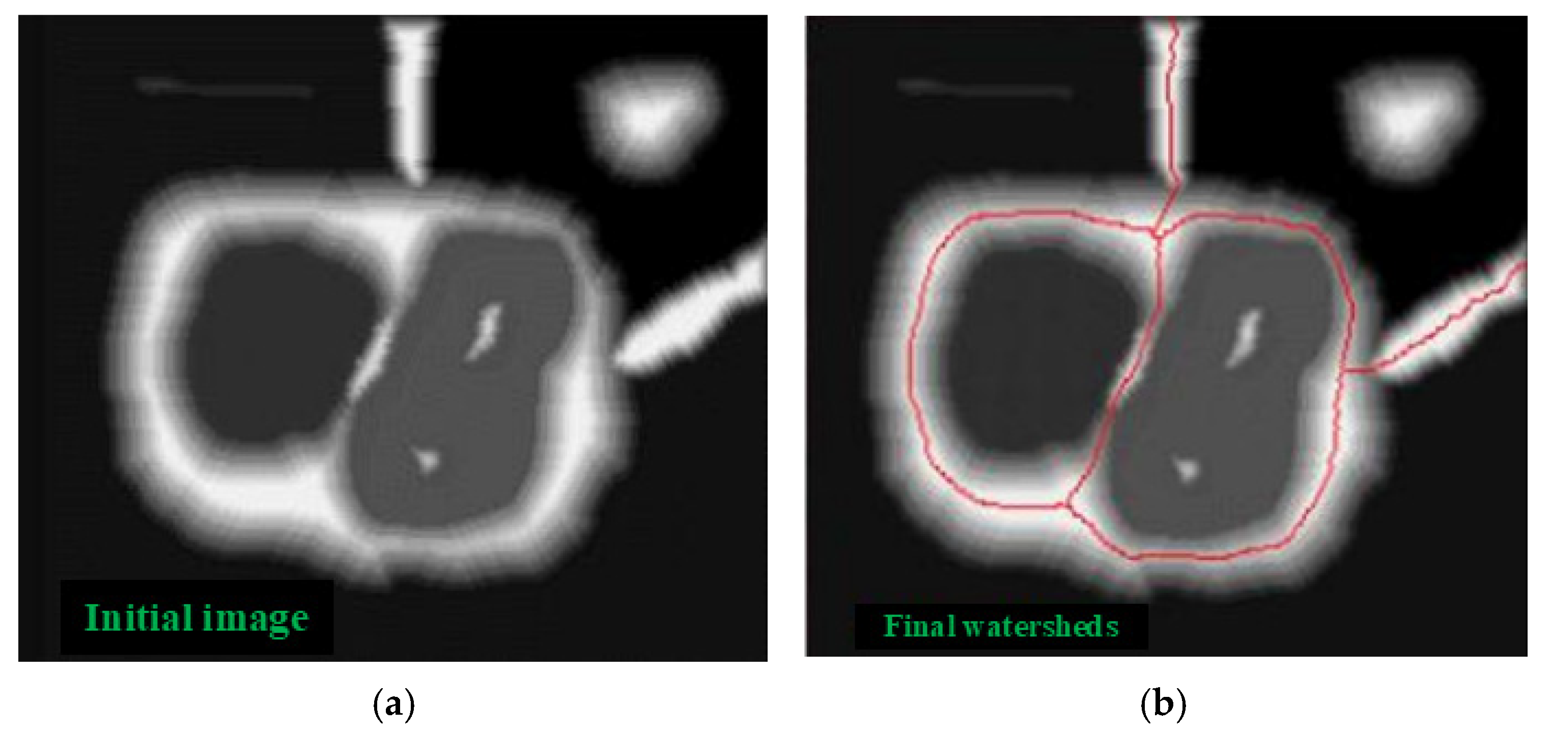 Machines 13 00616 g013