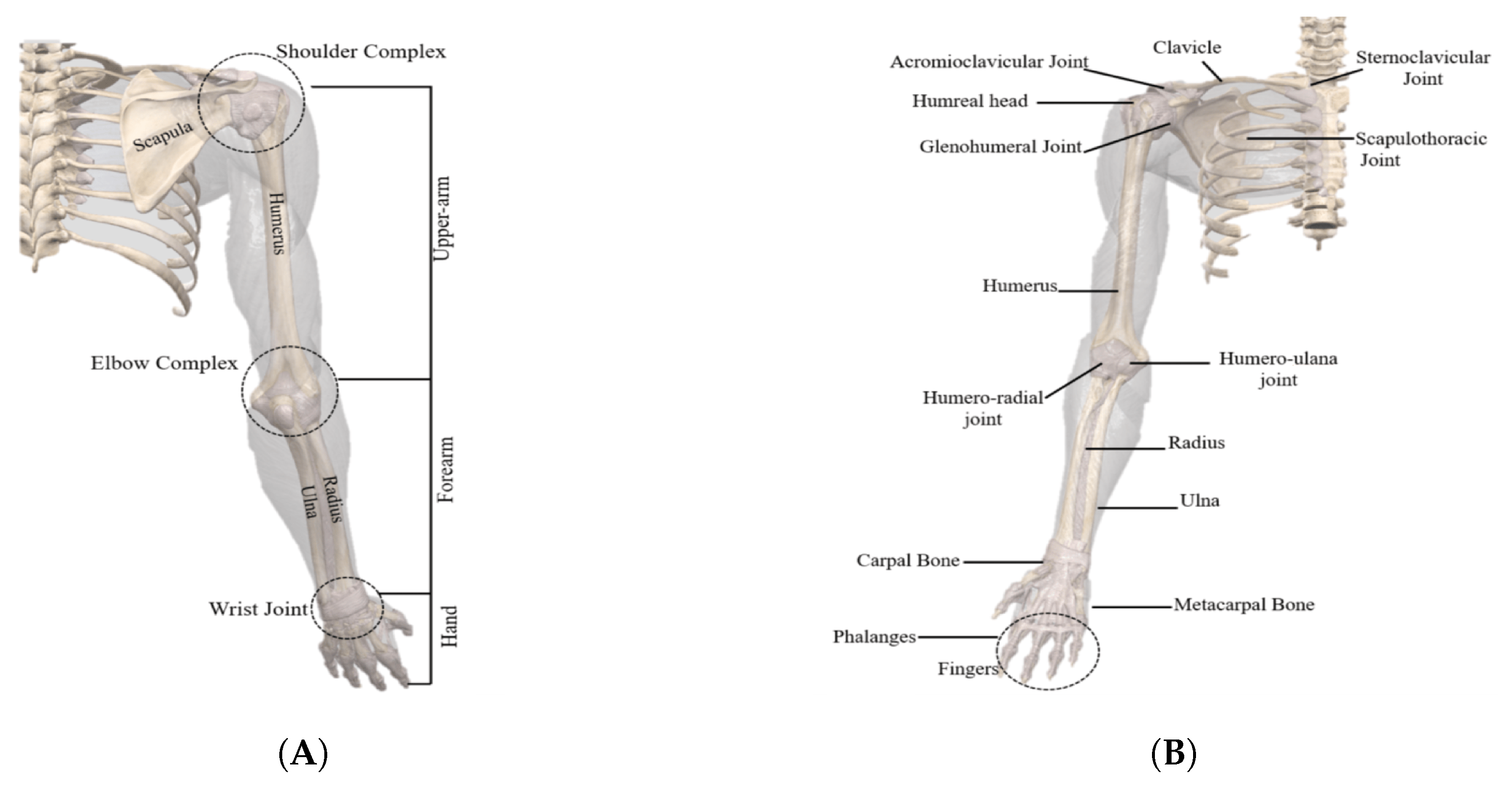 Machines 13 00642 g004