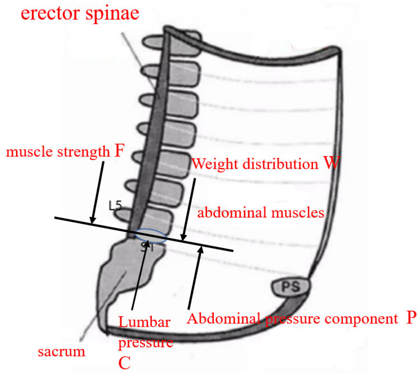 Machines 13 00728 g002