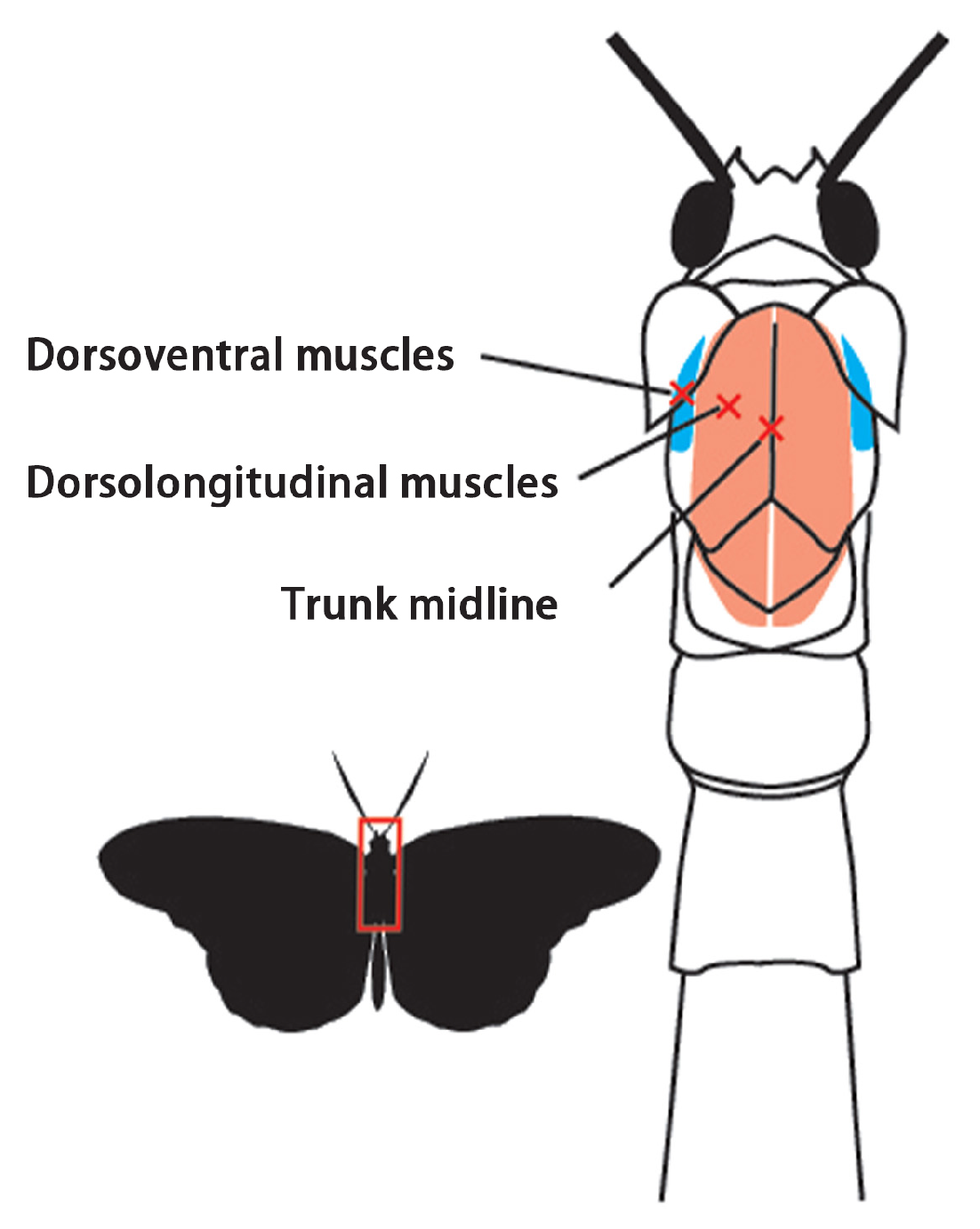Machines 13 00829 g001