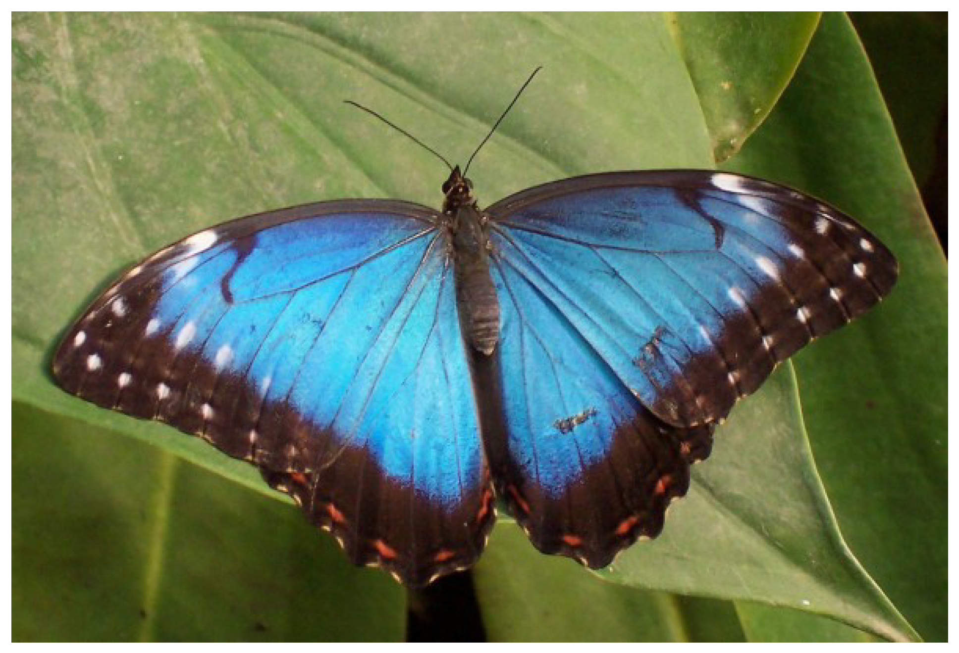 Machines 13 00829 g004