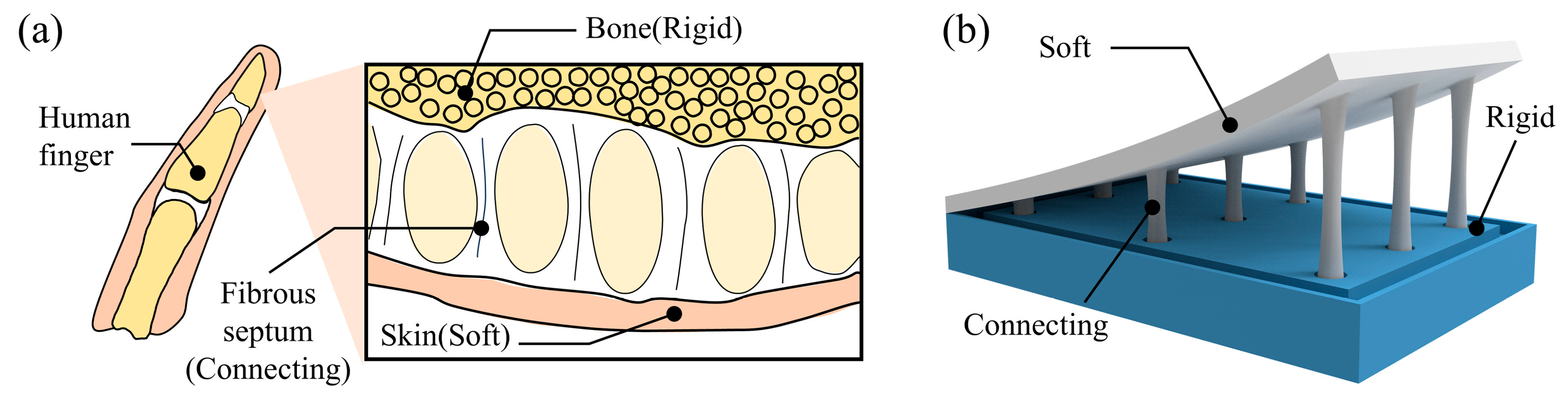 Machines 13 01068 g006