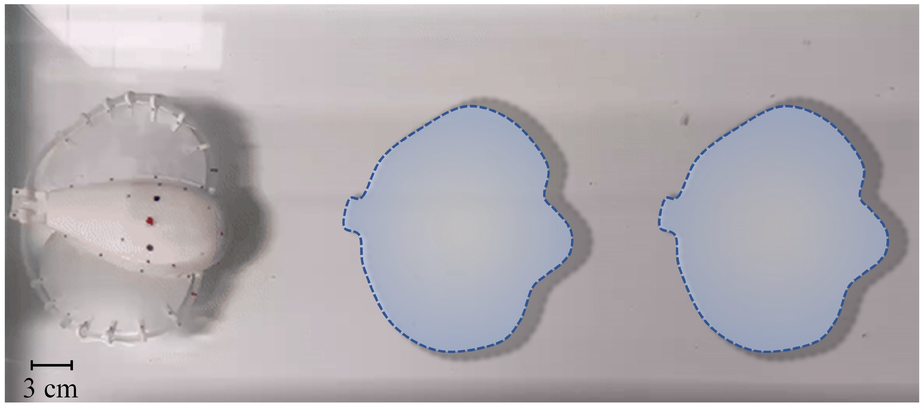 Machines 13 01078 g007