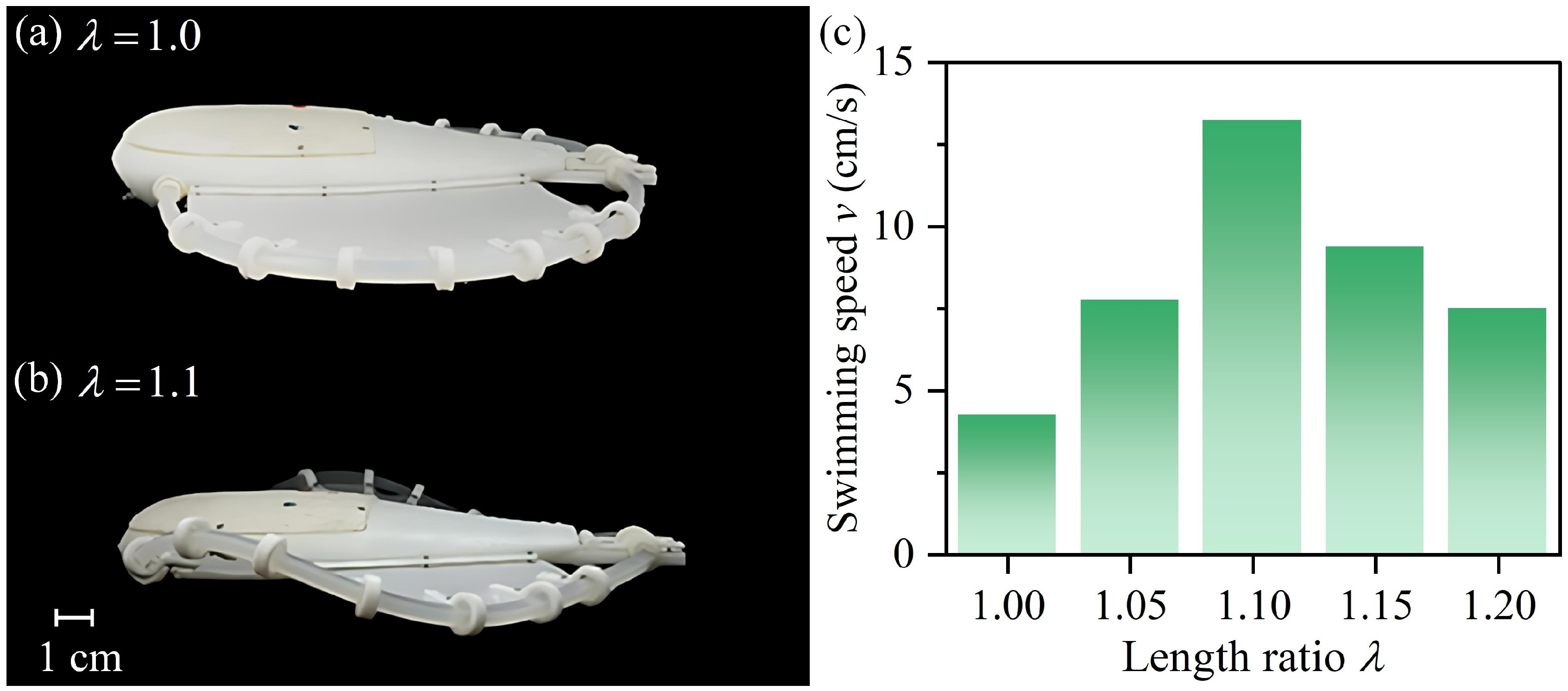 Machines 13 01078 g010
