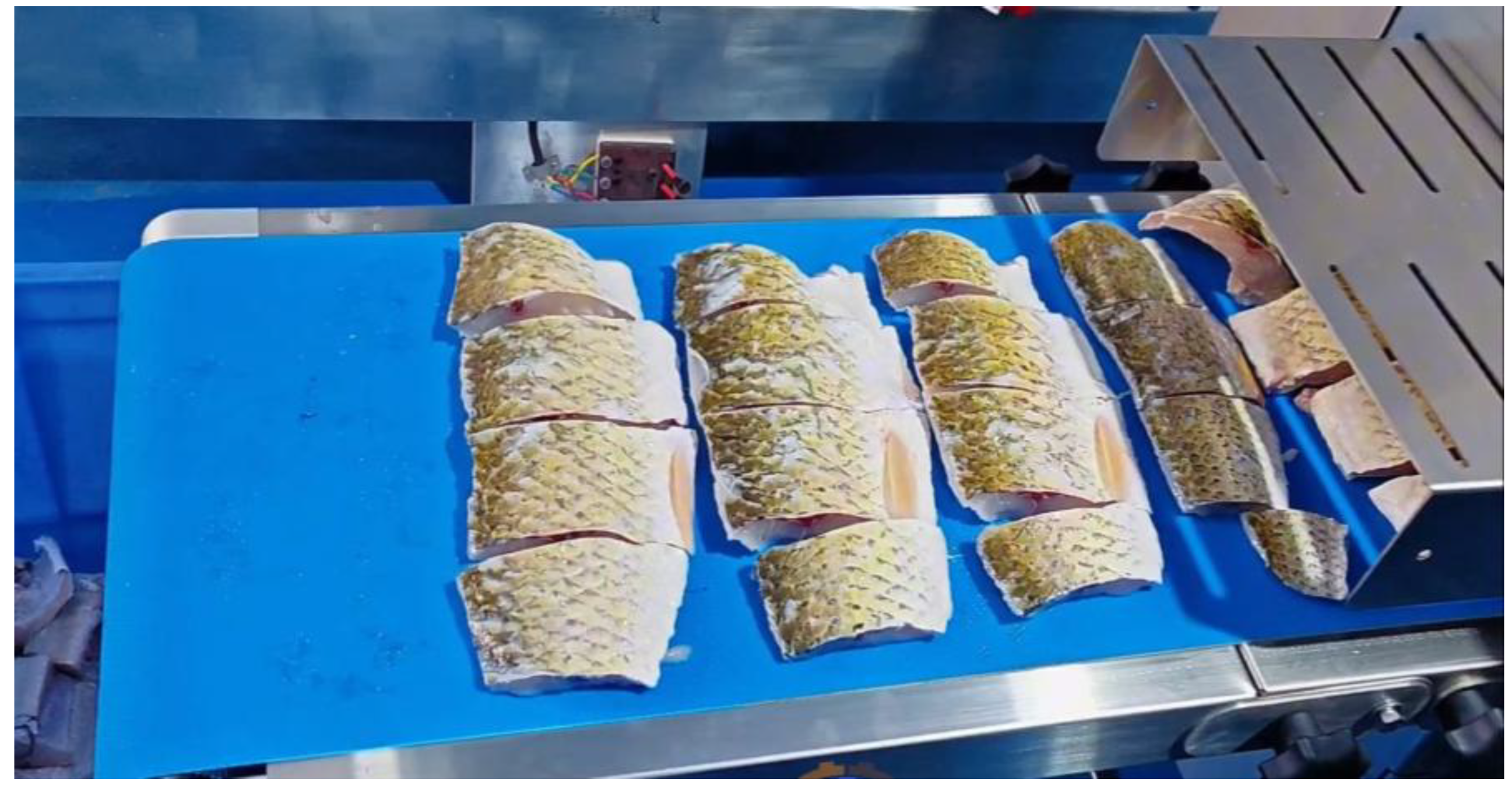 Machines 13 01081 g011 Machines 13 01081 g011